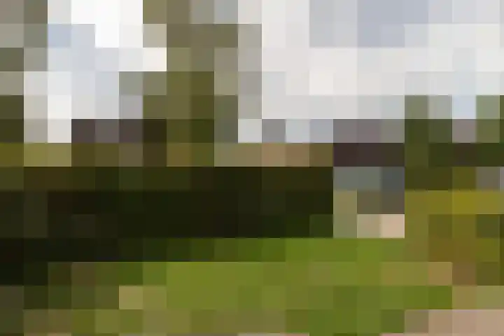 Kosterijweg 68 Kootwijkerbroek thumbnail 7