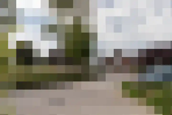 Kosterijweg 68 Kootwijkerbroek thumbnail 8