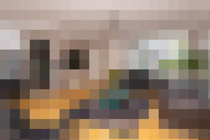 Kosterkring 18 Abbekerk thumbnail 17