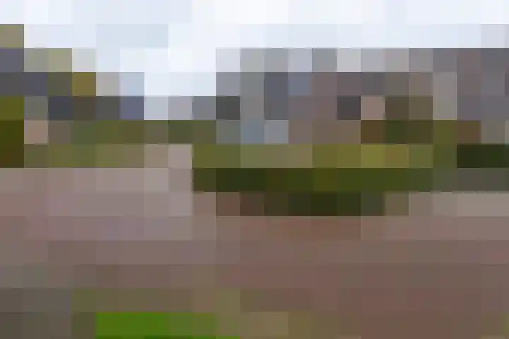 Kosterkring 18 Abbekerk thumbnail 47