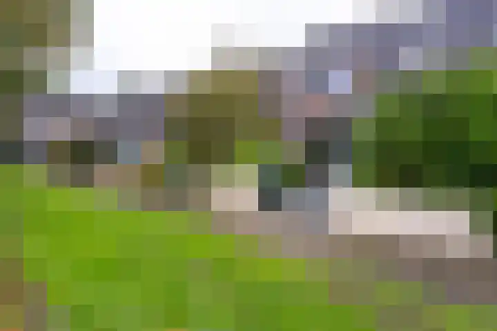 Kosterkring 18 Abbekerk thumbnail 48