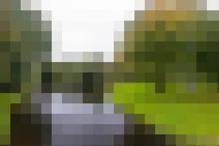 Kosterkring 18 Abbekerk thumbnail 52