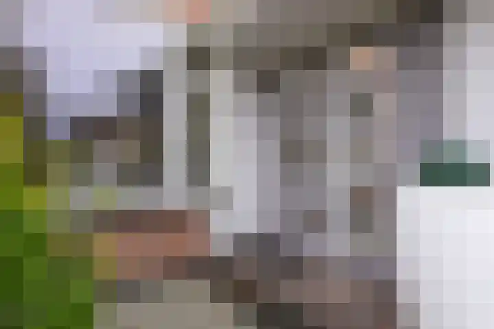Kosterkring 18 Abbekerk thumbnail 6