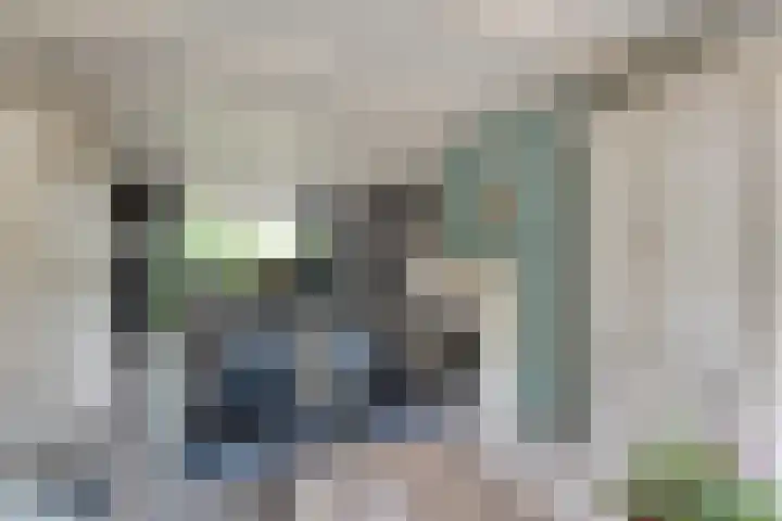 Kosterskamp 19 Den Ham thumbnail 15