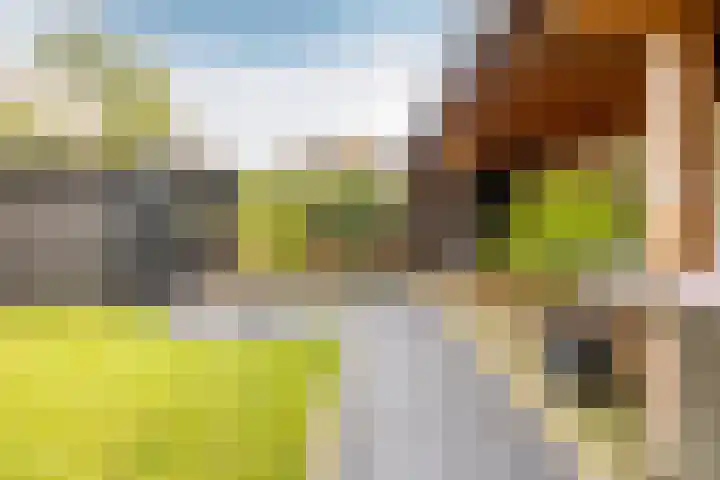 Kosterskamp 19 Den Ham thumbnail 18