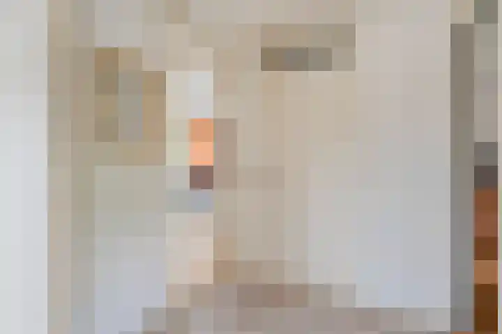 Kosterskamp 19 Den Ham thumbnail 19