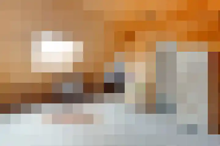 Kosterskamp 19 Den Ham thumbnail 29