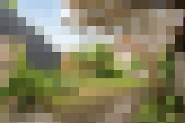 Kosterskamp 19 Den Ham thumbnail 31