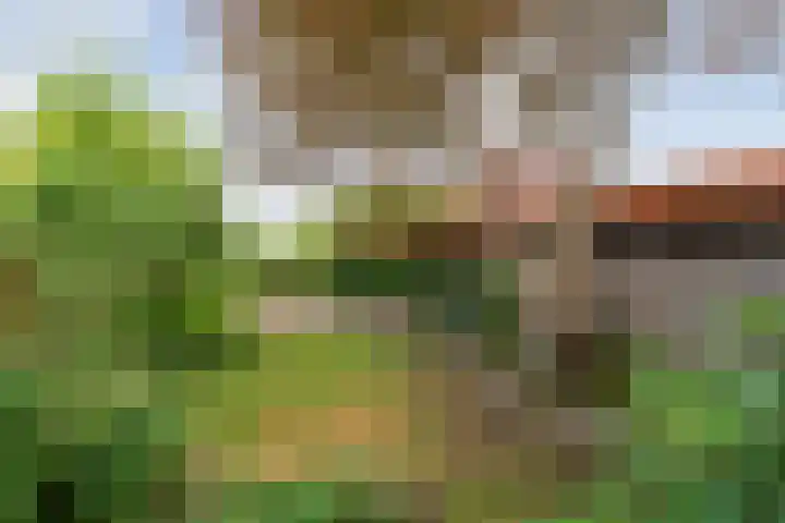 Kosterskamp 19 Den Ham thumbnail 32