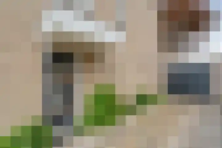 Kosterskamp 19 Den Ham thumbnail 5