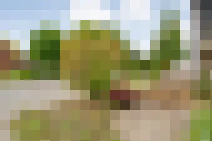 Kosterskamp 19 Den Ham thumbnail 6