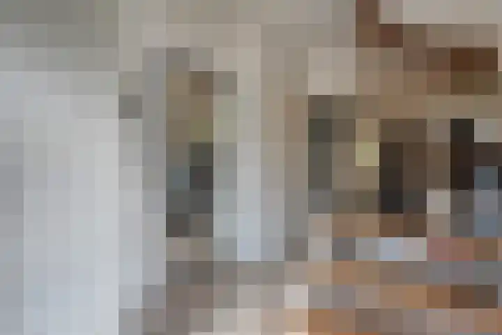 Kosterskamp 19 Den Ham thumbnail 8