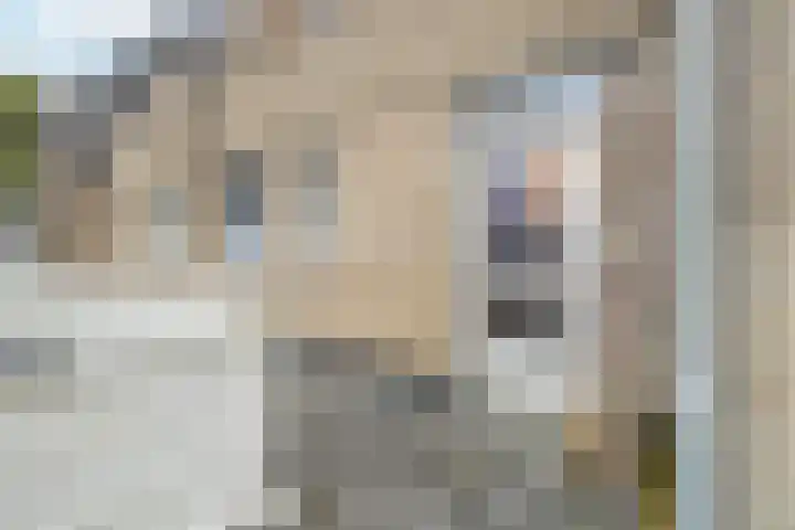 Kosterskamp 52 Den Ham thumbnail 14
