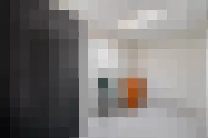 Kosterskamp 52 Den Ham thumbnail 23
