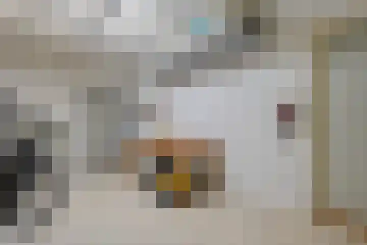 Kosterskamp 52 Den Ham thumbnail 26