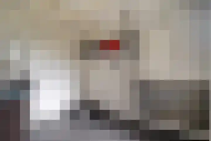 Kosterskamp 52 Den Ham thumbnail 28