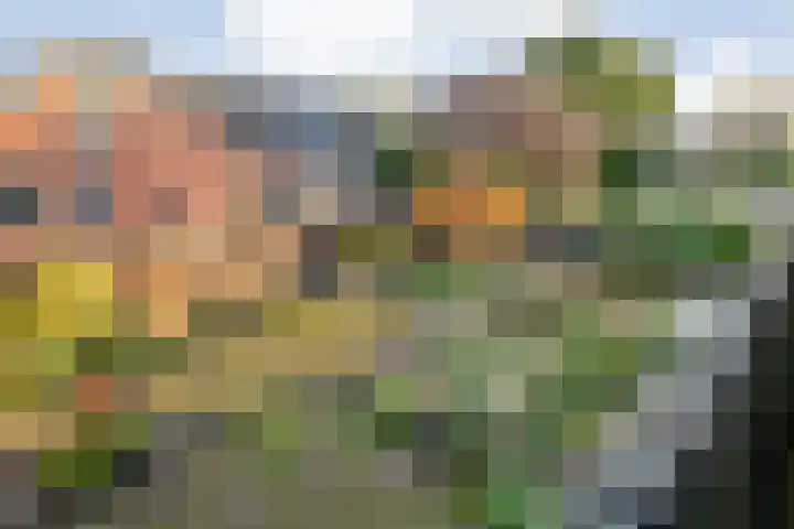 Kosterskamp 52 Den Ham thumbnail 36