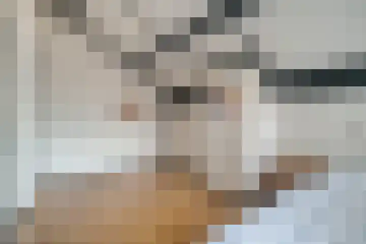 Kosterskamp 52 Den Ham thumbnail 40