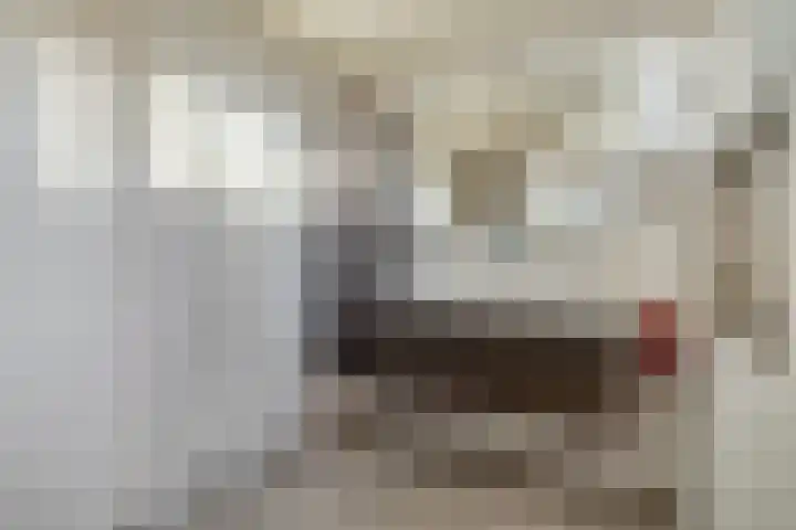 Kosterskamp 52 Den Ham thumbnail 43