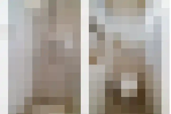Kosterskamp 52 Den Ham thumbnail 46