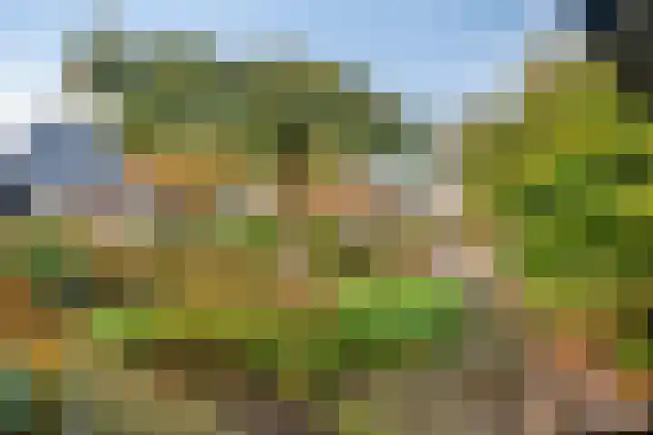 Kosterskamp 52 Den Ham thumbnail 47