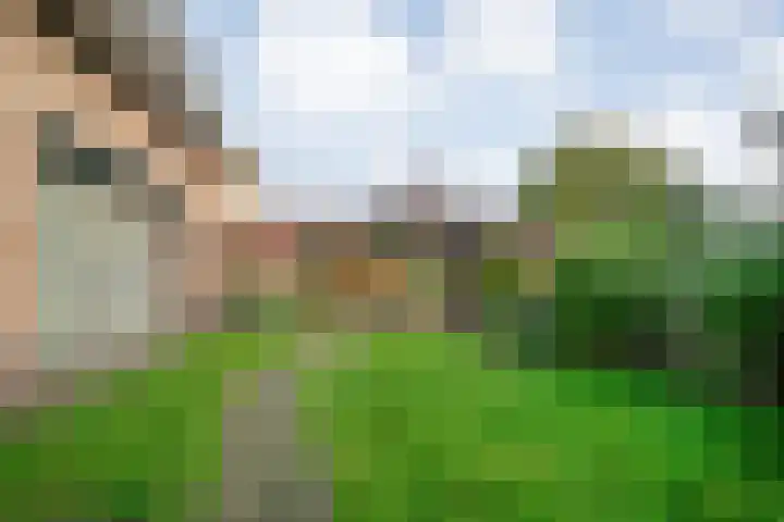 Kosterskamp 52 Den Ham thumbnail 48