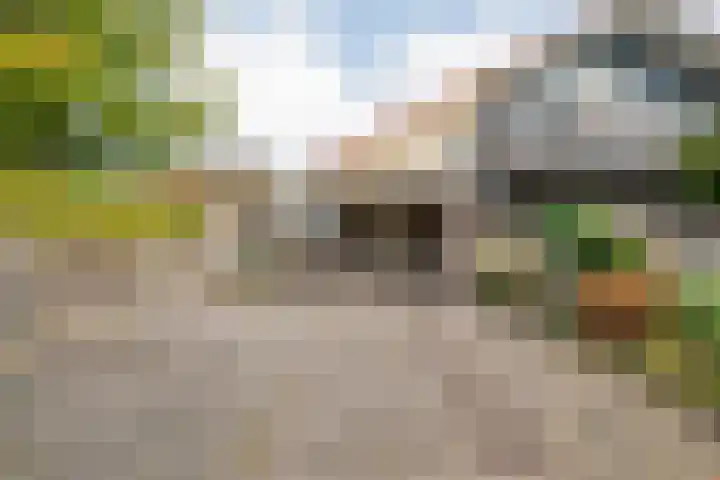 Kosterskamp 52 Den Ham thumbnail 5