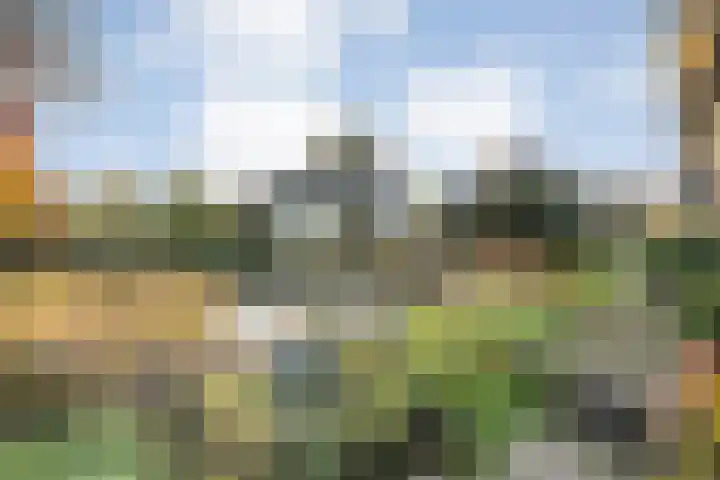 Kosterskamp 52 Den Ham thumbnail 51