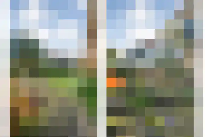 Kosterskamp 52 Den Ham thumbnail 52