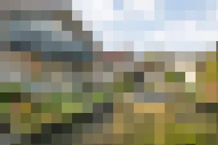 Kosterskamp 52 Den Ham thumbnail 53