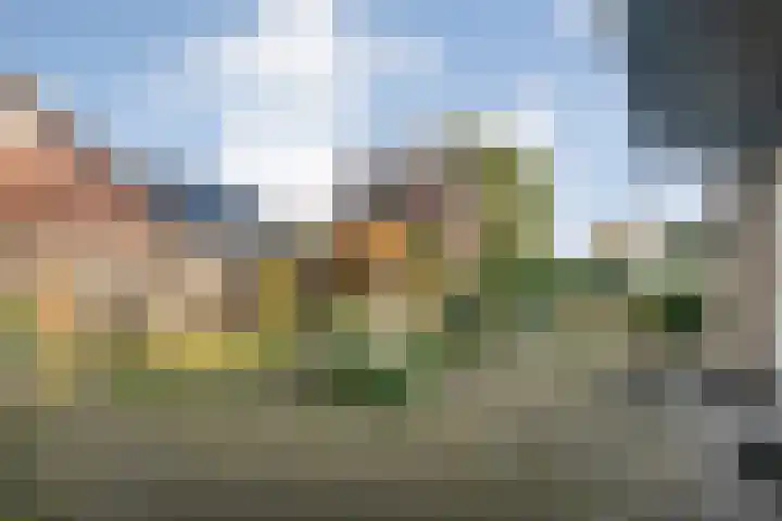 Kosterskamp 52 Den Ham thumbnail 54