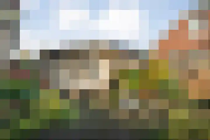 Kosterskamp 52 Den Ham thumbnail 55