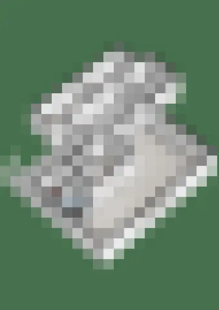 Kosterskamp 52 Den Ham thumbnail 57