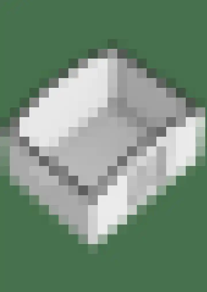 Kosterskamp 52 Den Ham thumbnail 61