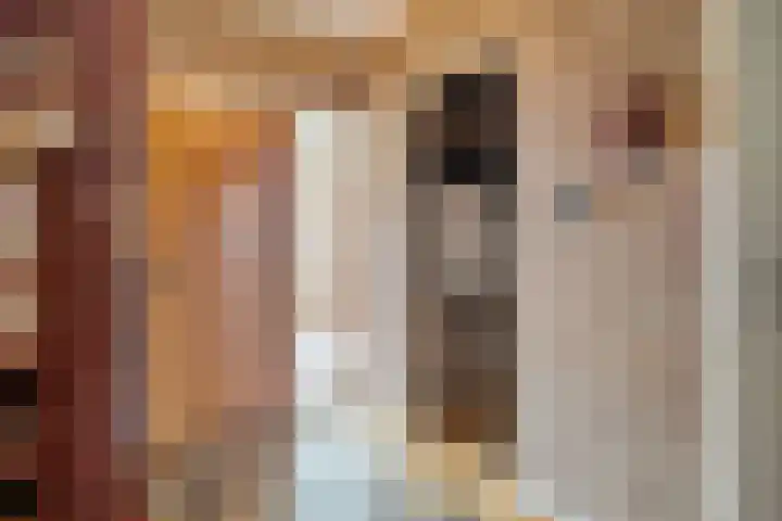 Kosterskamp 52 Den Ham thumbnail 7