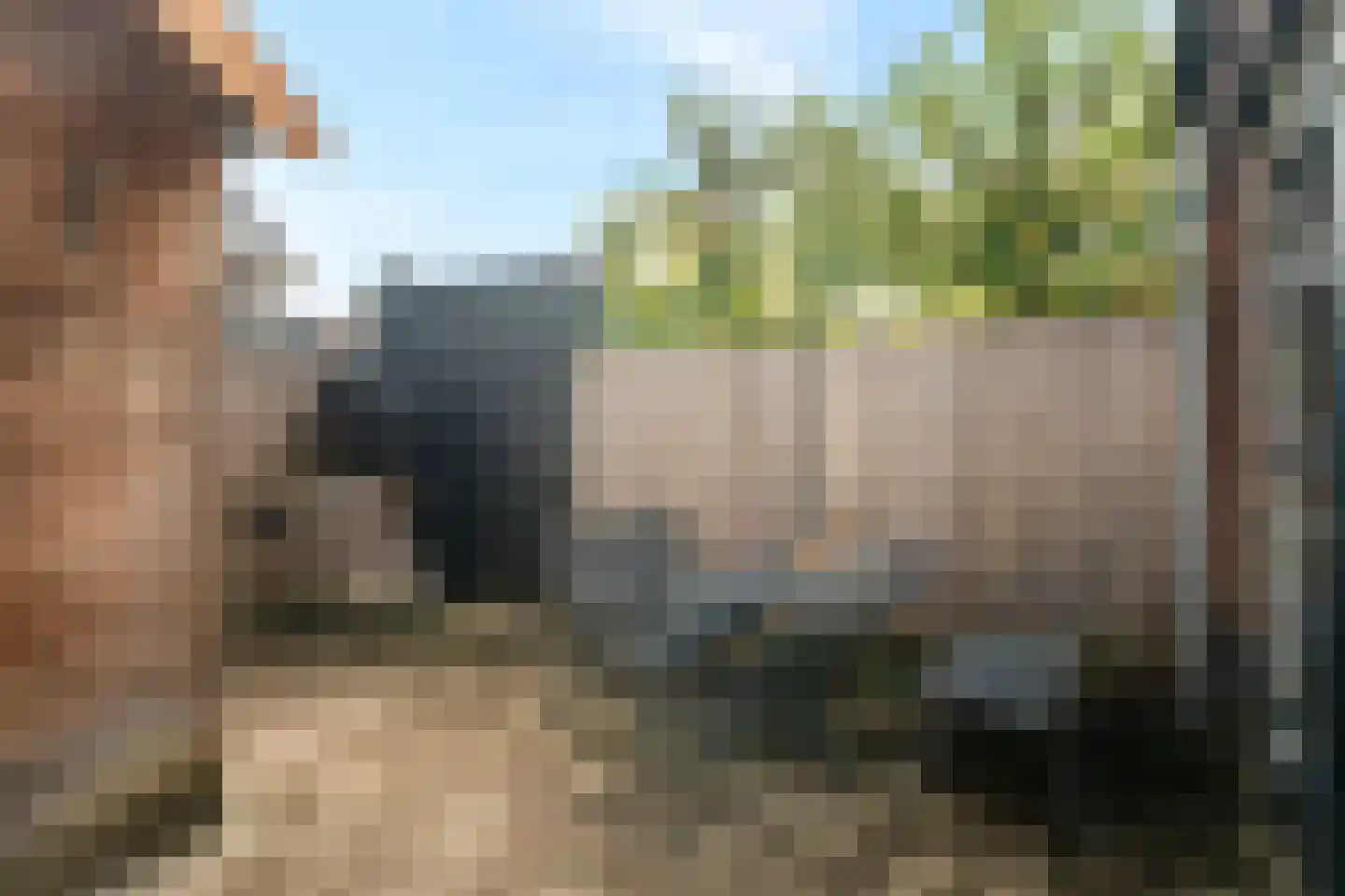 Kostersland 23 Ermelo thumbnail 33