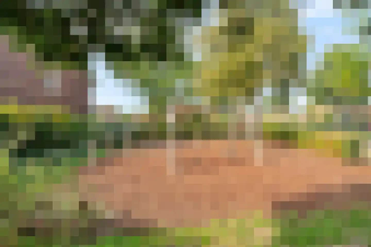 Kostersland 23 Ermelo thumbnail 42
