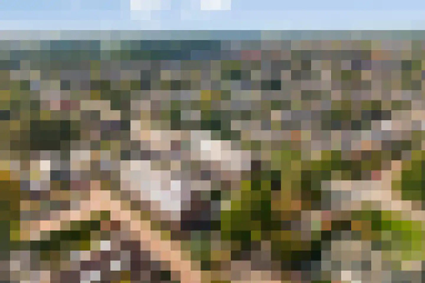 Kostersland 23 Ermelo thumbnail 43