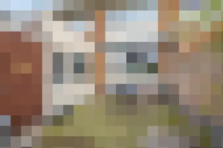 Kostersland 32 Ermelo thumbnail 25