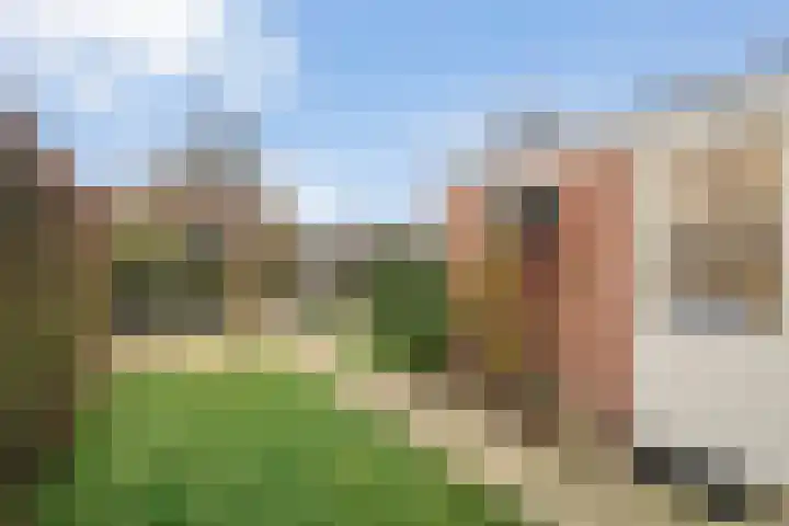 Kostersland 32 Ermelo thumbnail 27