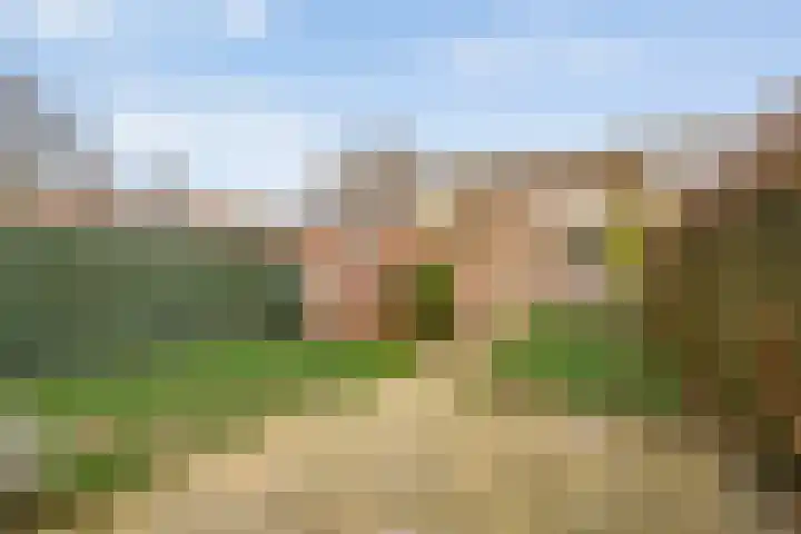 Kostersland 32 Ermelo thumbnail 28