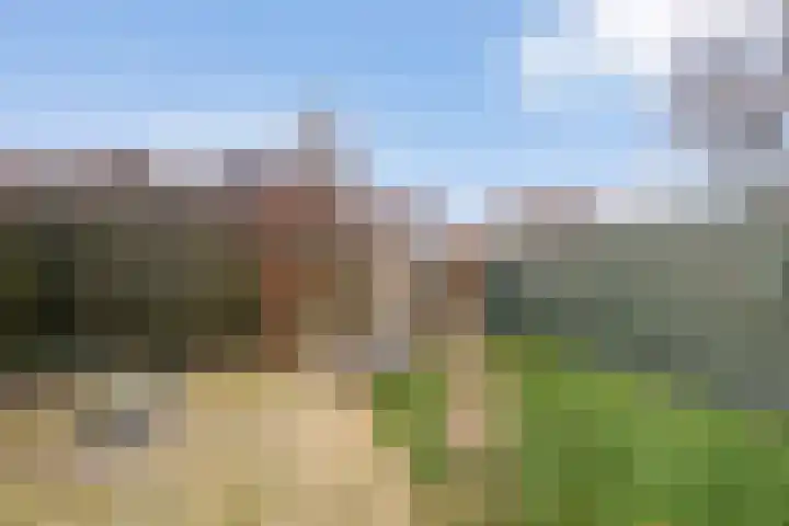 Kostersland 32 Ermelo thumbnail 29