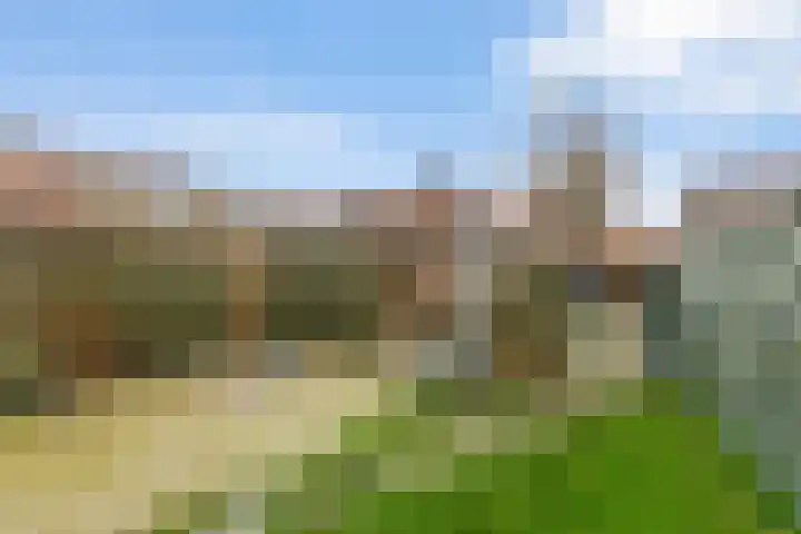 Kostersland 32 Ermelo thumbnail 30
