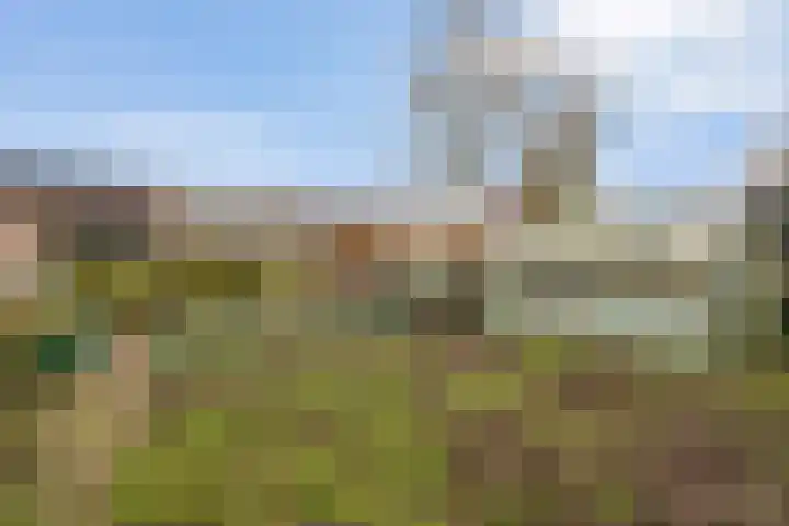 Kostersland 32 Ermelo thumbnail 31