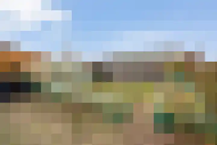 Kostersland 32 Ermelo thumbnail 32