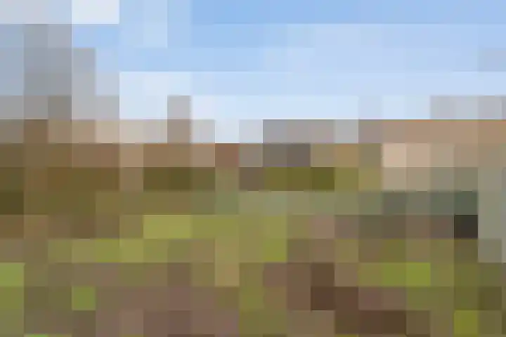 Kostersland 32 Ermelo thumbnail 33