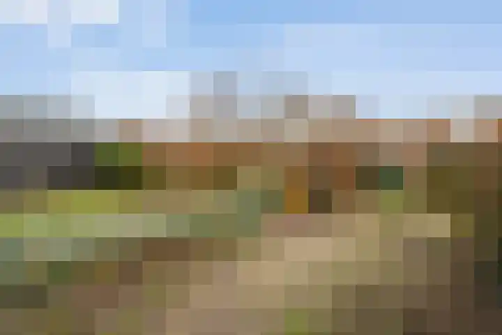Kostersland 32 Ermelo thumbnail 34