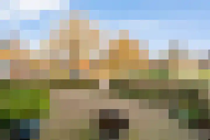 Kostersland 32 Ermelo thumbnail 37