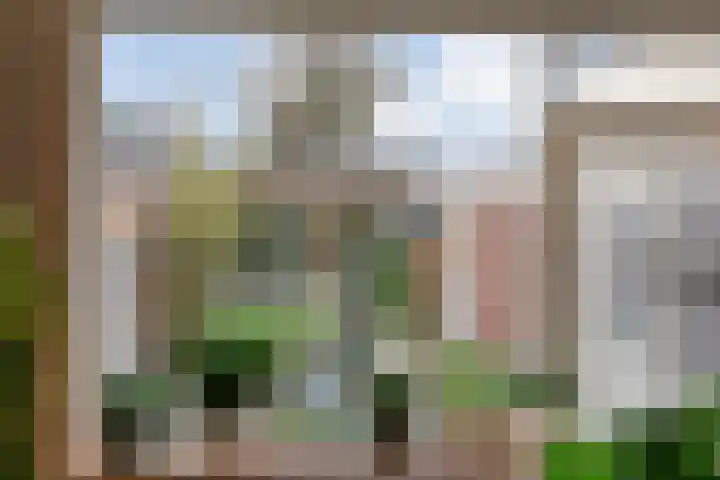 Kostersland 32 Ermelo thumbnail 8