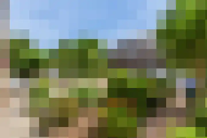 Kostersland 42 Ermelo thumbnail 31
